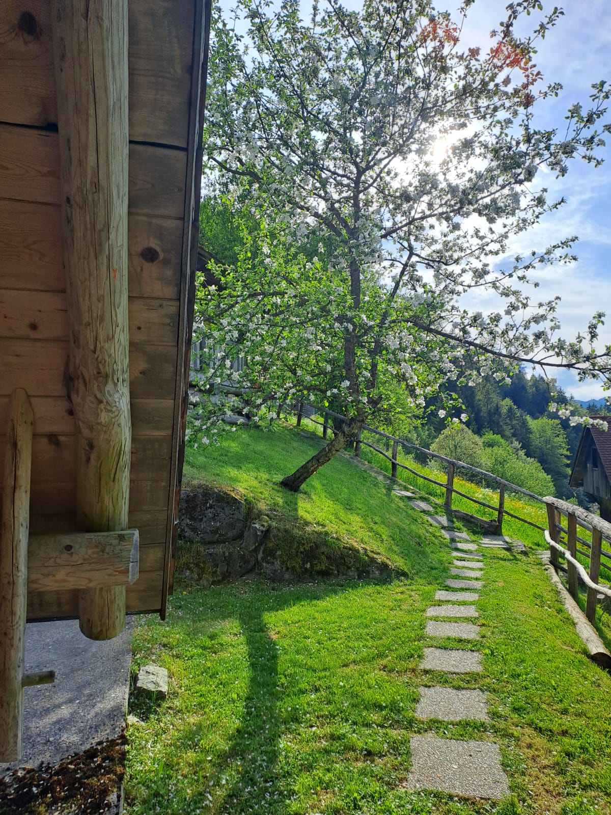 Wald und Umgebung