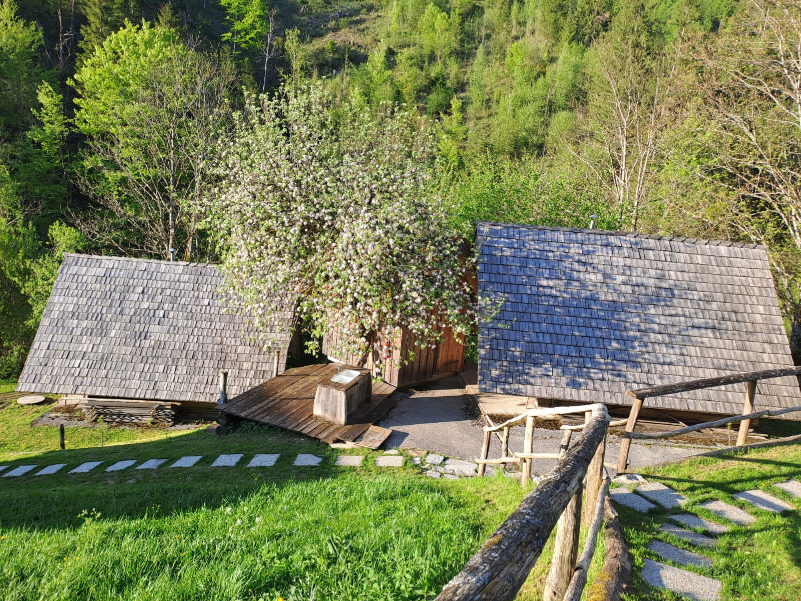 Bach im Brunnbachtal