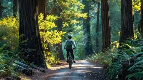 Radfahren im Ennstal